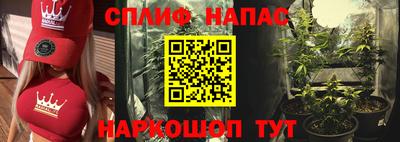 прущие грибы Рыбинск