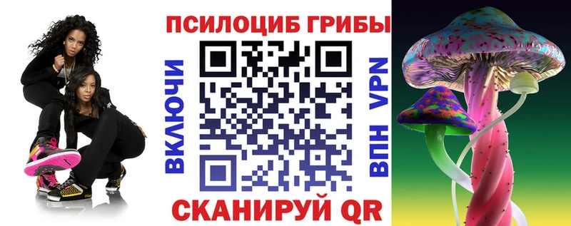 Псилоцибиновые грибы Cubensis  Сосновоборск 